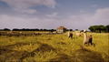 Railway Empire Complete Collection thumbnail 7