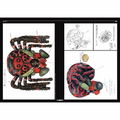 Shin Kamen Rider Design Works thumbnail 10