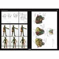 Shin Kamen Rider Design Works thumbnail 12