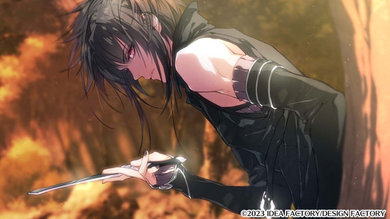 Wand of Fortune R2: Jikuu ni Shizumu Mokushiroku for Nintendo Switch image 4