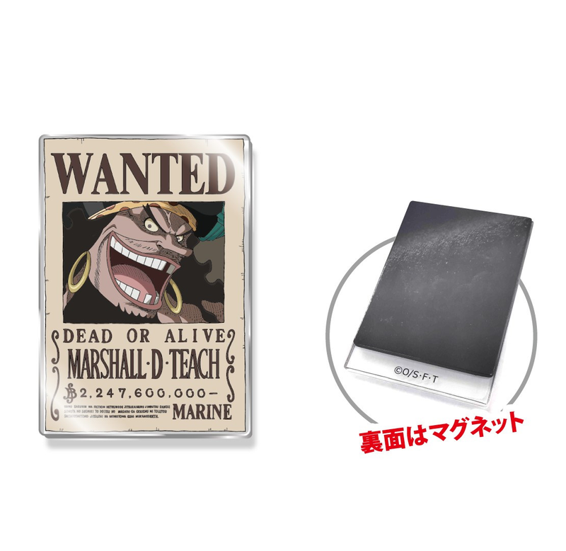 One Piece Acrylic Wanted Poster Magnet: Vol. 2 Blackbeard image 1