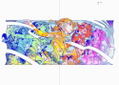 Eye Yoneyama Mai Collection Of Works thumbnail 7