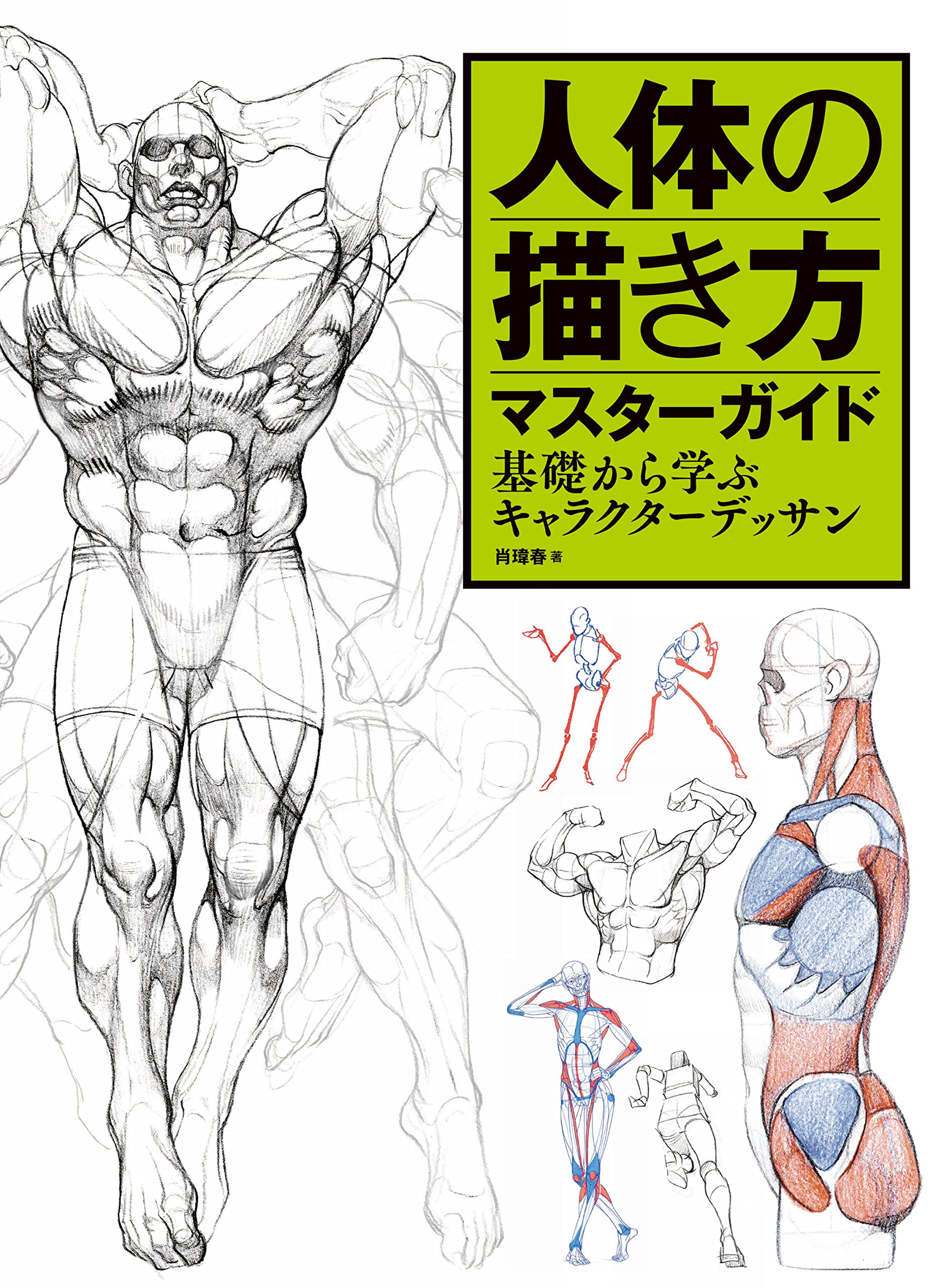 Scratch Drawing Body How To Draw The Human Body Master Guide Character Drawing Learning From ...