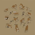 Doomsday with My Dog - Fuu Rin Ka Zan T-Shirt (Sand Khaki | Size S) thumbnail 2
