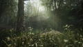 Metal Gear Solid Delta: Snake Eater (Tactical Edition) thumbnail 6