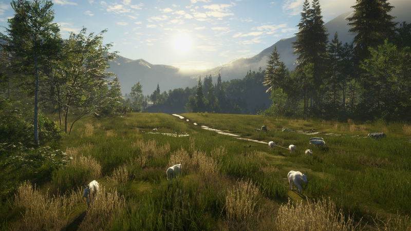 TheHunter: Call of the Wild - Silver Ridge Peaks (DLC) <span class="ext" style="background-color: #B0000F; color: #FFFFFF;">DLC</span> <span class="ext" style="background-color: #2a475e; color: #FFFFFF;">STEAM</span> <span class="ext ext_digital">digital</span> image 12