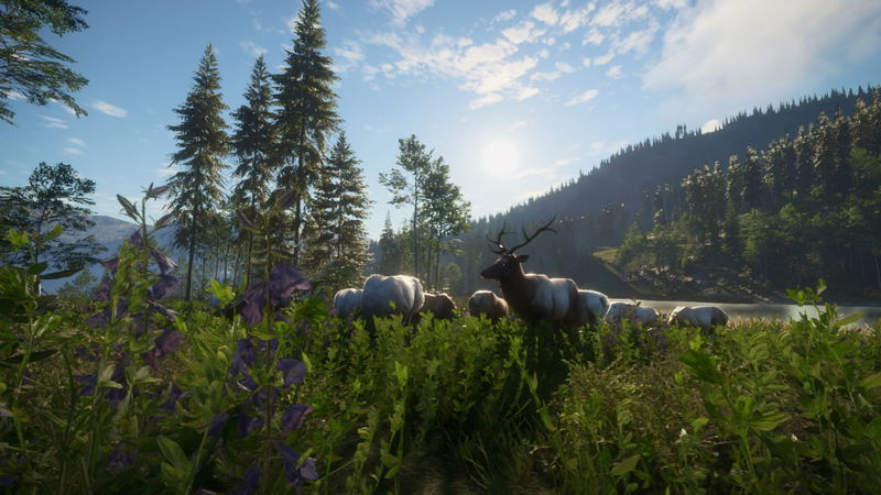 TheHunter: Call of the Wild - Silver Ridge Peaks (DLC) <span class="ext" style="background-color: #B0000F; color: #FFFFFF;">DLC</span> <span class="ext" style="background-color: #2a475e; color: #FFFFFF;">STEAM</span> <span class="ext ext_digital">digital</span> image 7