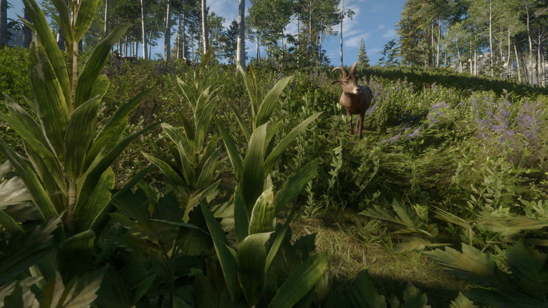 TheHunter: Call of the Wild - Silver Ridge Peaks (DLC) <span class="ext" style="background-color: #B0000F; color: #FFFFFF;">DLC</span> <span class="ext" style="background-color: #2a475e; color: #FFFFFF;">STEAM</span> <span class="ext ext_digital">digital</span> image 9