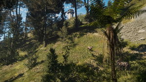 TheHunter: Call of the Wild - Te Awaroa National Park (DLC)_