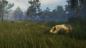 TheHunter: Call of the Wild - Te Awaroa National Park (DLC)_