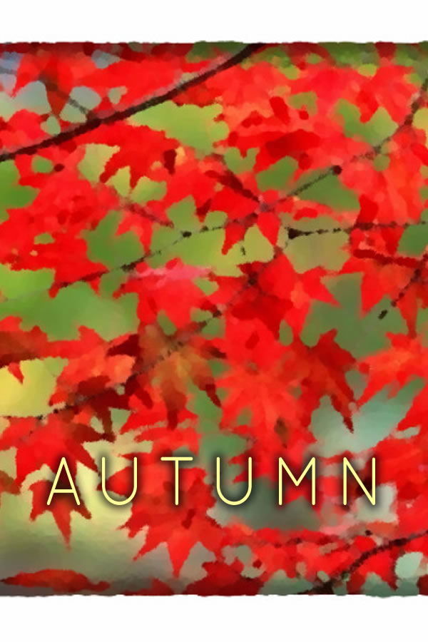 Autumn STEAM digital — Import Game Deal