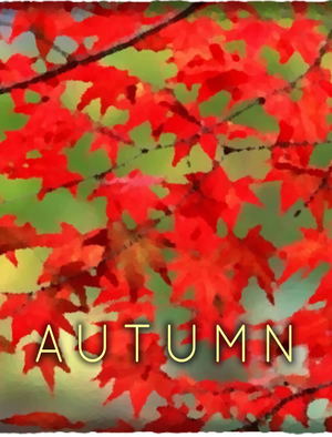 Autumn_