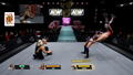 AEW: Fight Forever <span class="ext" style="background-color: #2a475e; color: #FFFFFF;">STEAM</span> <span class="ext ext_digital">digital</span> thumbnail 4
