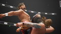 AEW: Fight Forever <span class="ext" style="background-color: #2a475e; color: #FFFFFF;">STEAM</span> <span class="ext ext_digital">digital</span> thumbnail 7
