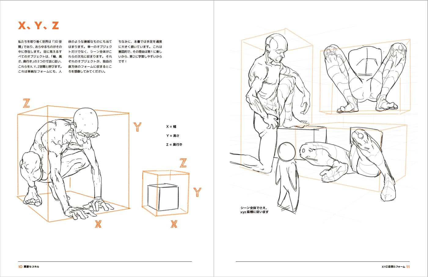 Human Anatomy For Artists: Drawing - Forms & Poses