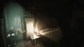 The Silent Swan thumbnail 2