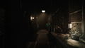 The Silent Swan thumbnail 3