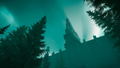 The Silent Swan thumbnail 4
