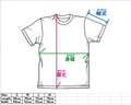 Mobile Suit Gundam Zeon Earth Army Heavyweight T-shirt (Moss | Size S) thumbnail 4