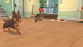 My Universe: Puppies and Kittens (Code in a box) thumbnail 2