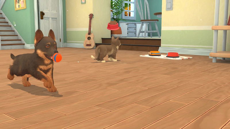 My Universe: Puppies and Kittens (Code in a box) image 2