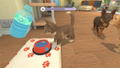 My Universe: Puppies and Kittens (Code in a box) thumbnail 3