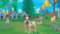 My Universe: Puppies and Kittens (Code in a box) thumbnail 6