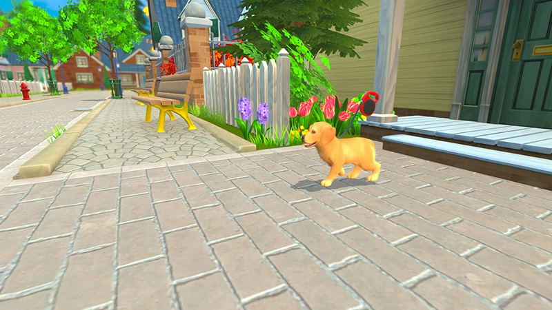 My Universe: Puppies and Kittens (Code in a box) image 9