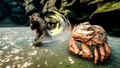 Skull Island: Rise of Kong thumbnail 11