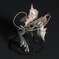 Capcom Figure Builder Cube Monster Hunter: Storm Dragon Amatsu thumbnail 12