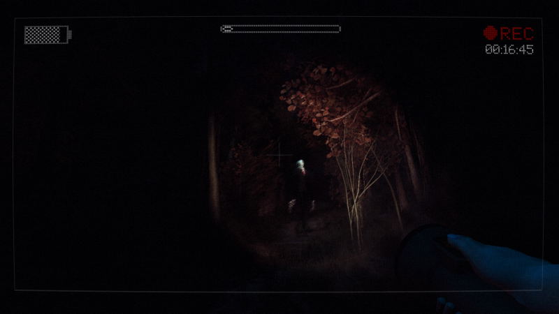 Slender: The Arrival <span class="ext" style="background-color: #2a475e; color: #FFFFFF;">STEAM</span> <span class="ext ext_digital">digital</span> image 11