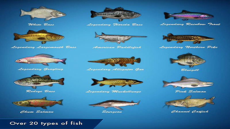 Legendary Fishing image 3