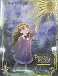 Princess Maker 2 Regeneration [Special Pack] (Multi-Language) thumbnail 1