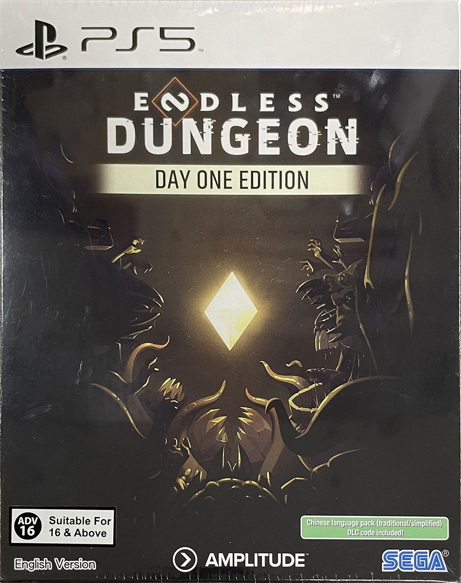 Endless Dungeon (Multi-Language) — Import Game Deal