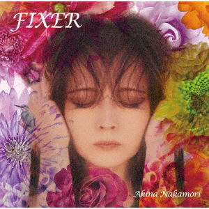 Fixer [Limited Edition] (Vinyl) — Import Game Deal
