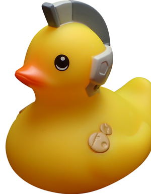 Ludens Duck_