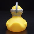 Ludens Duck thumbnail 6