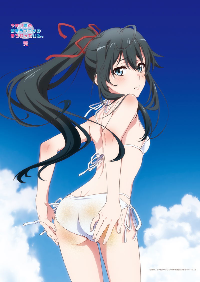 Yahari Ore No Seishun Love-come Wa Machigatteiru. Kan Original Illustration B2 Tapestry Yukino (Seaside Bikini) image 1