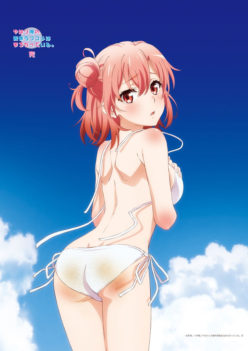 Yahari Ore No Seishun Love-come Wa Machigatteiru. Kan Original Illustration B2 Tapestry Yui (Seaside Bikini) image 1
