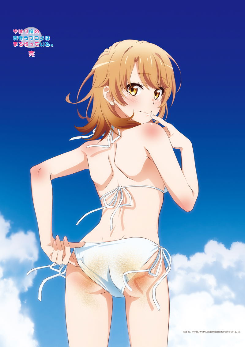 Yahari Ore No Seishun Love-come Wa Machigatteiru. Kan Original Illustration B2 Tapestry Iroha (Seaside Bikini) image 1