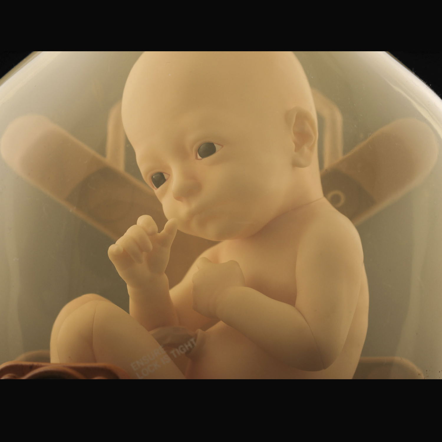 1/1 Scale Death Stranding BBPOD LIKE Ver.