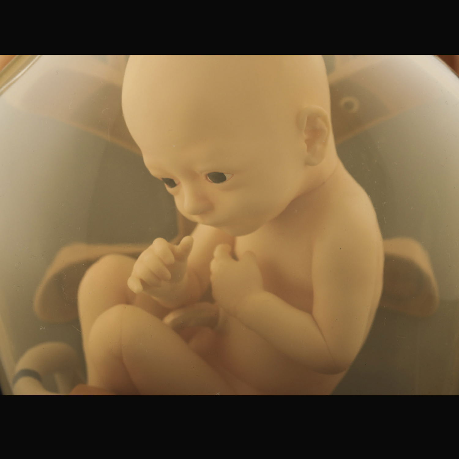 1/1 Scale Death Stranding BBPOD LIKE Ver.