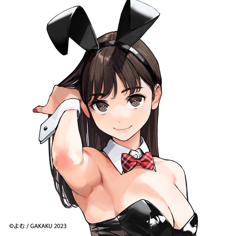 GAKAKU Collection "Heso x Bunny 2" 63 Yom Mini Square Plate image 1