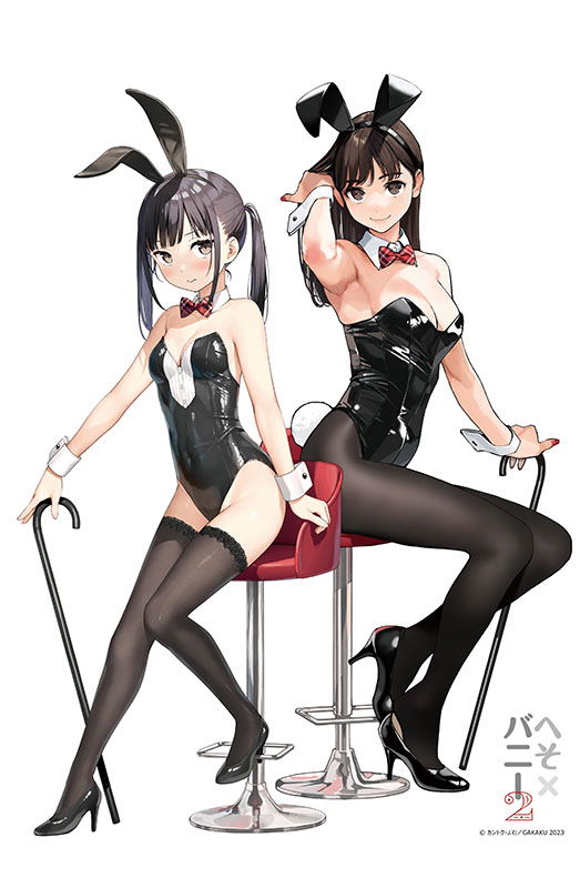 GAKAKU Collection "Heso x Bunny 2" 09 Yom & Kantoku B2 Tapestry Bunny Ver. image 1