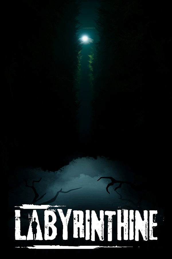 Labyrinthine STEAM digital — Import Game Deal