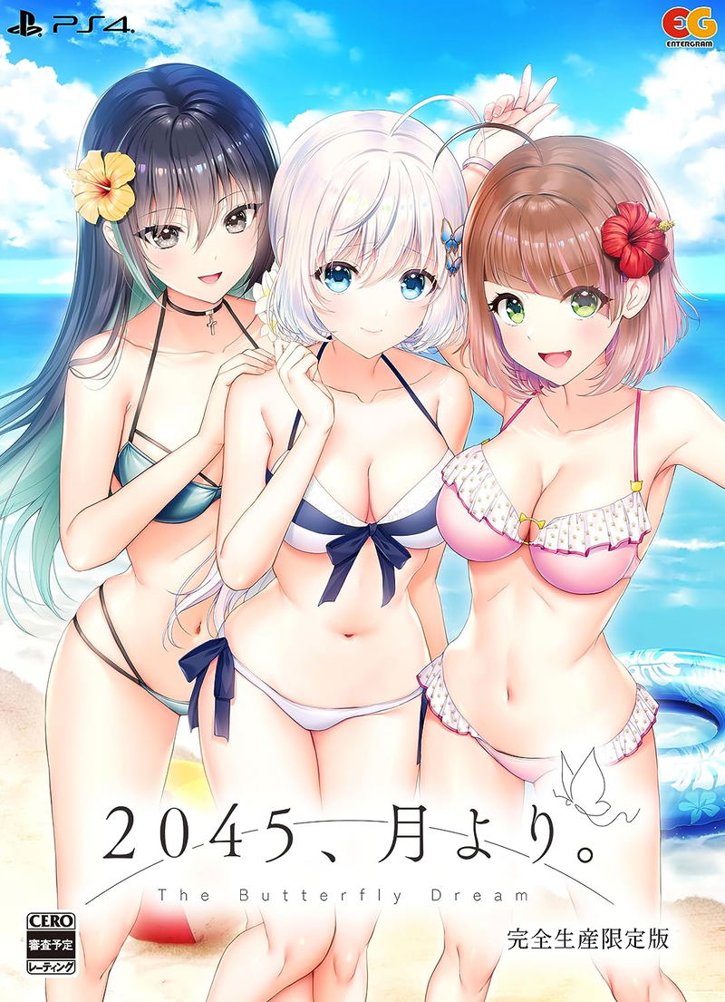 2045, Tsuki Yori. [Limited Edition] image 1