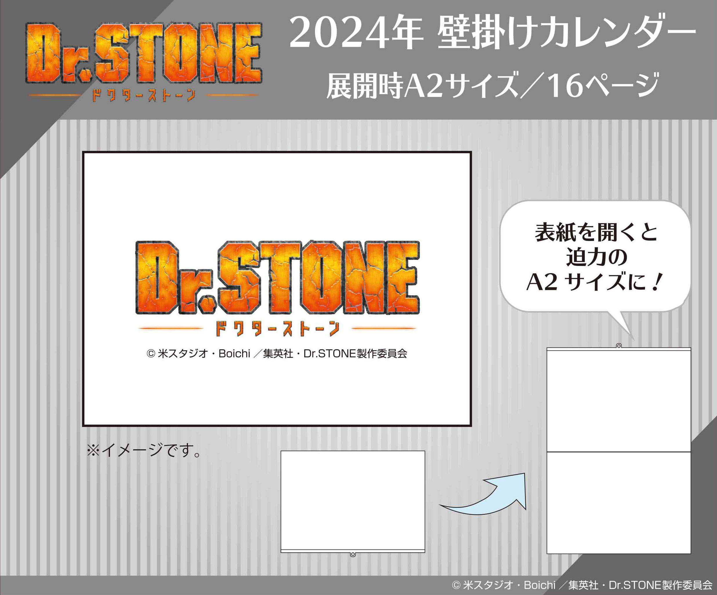 Dr Stone 2024 Wall Calendar   Dr Stone 2024 Wall Calendar 767821.2 