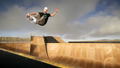 Skater XL thumbnail 2