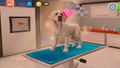 Animal Hospital thumbnail 4
