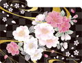 Character Deck Case MAX NEO Ouka Ryoran thumbnail 4